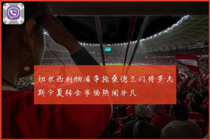 切尔西利物浦争抢桑德兰门将罗夫斯今夏转会市场热闹非凡
