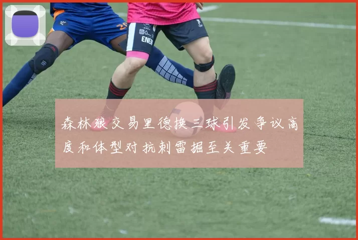 森林狼交易里德换三球引发争议高度和体型对抗刺雷掘至关重要